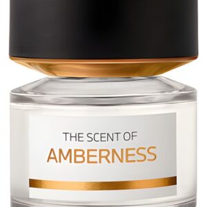 عطر BMW Fragrances Amberness (BMW Fragrances Amberness) by BMW Fragrances Perfume