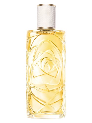 عطر Ô Zenith زنانه Lancôme - عطر Lancôme