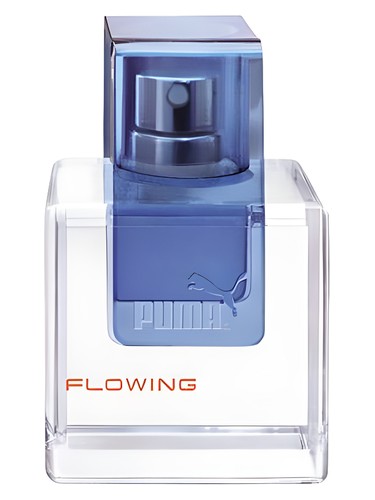 عطر Puma Flowing Man مردانه (Puma Flowing Man for men)