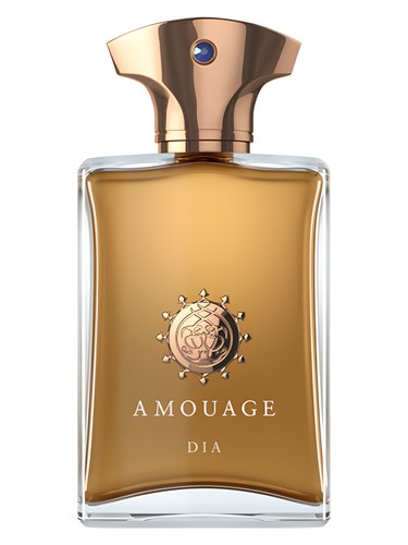 عطر Amouage Dia Man مردانه آمواج ادو پرفیوم - عطر آمواج