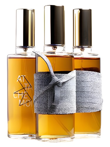 عطر Attache-Moi زنانه و مردانه ICONOFLY - عطر ICONOFLY