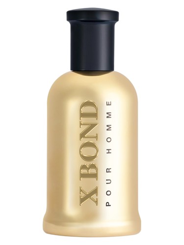 عطر X Bond Gold مردانه Louis Olivier - عطر Louis Olivier