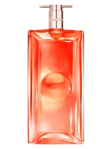 Idôle Peach ‘N Roses