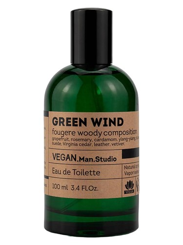 عطر Green Wind مردانه Vinci - عطر Vinci