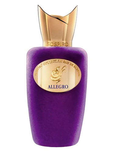 Allegro unisex