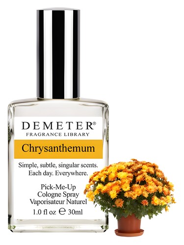 Demeter Chrysanthemum