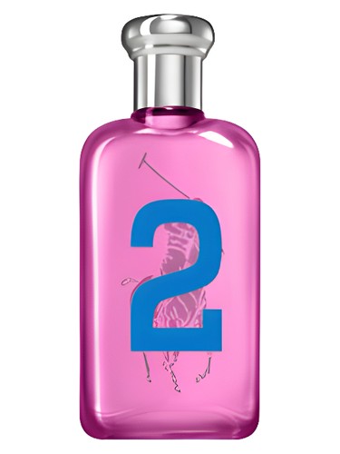 Ralph Lauren Big Pony 2
