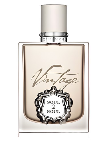 عطر Tim McGraw Soul2Soul Vintage مردانه - عطر Tim McGraw