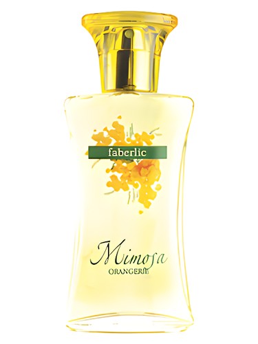 Orangerie Mimosa