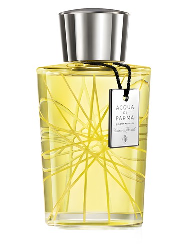 عطر Colonia Assoluta Edizione Speciale زنانه و مردانه Acqua di Parma - عطر Acqua di Parma