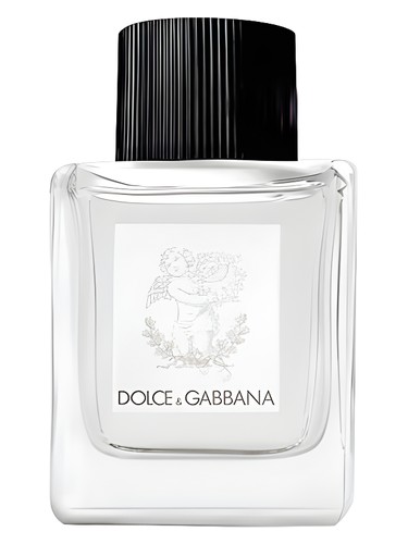 عطر Dolce&Gabbana زنانه و مردانه دولچه اند گابانا - عطر دولچه اند گابانا