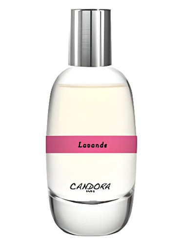 عطر Lavande unisex زنانه و مردانه Candora - عطر Candora