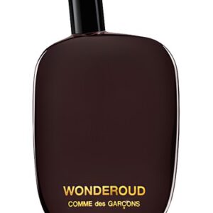 Comme Des Garcons Wonderoud