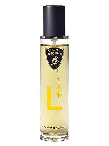 L2 for men
