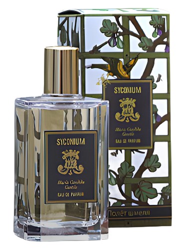 Syconium unisex
