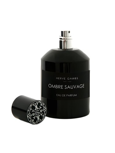 Herve Gambs Paris Ombre Sauvage