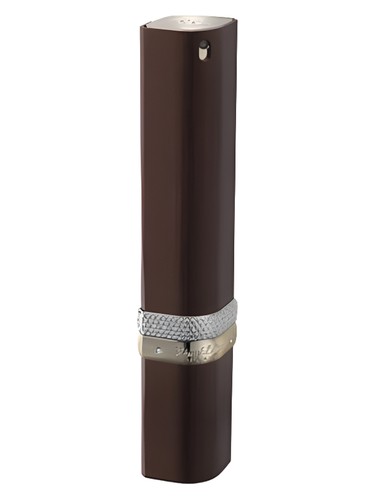 Cigar Vanille Tonka Remy Latour for men