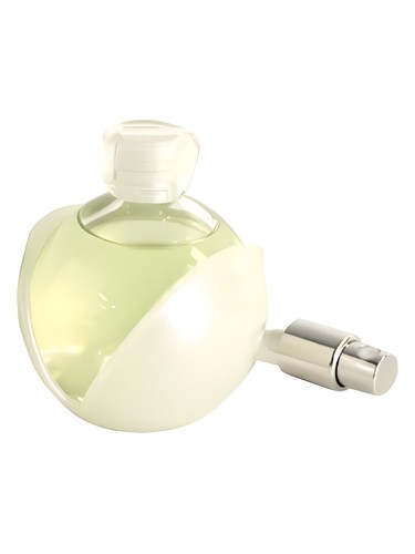 عطر Cacharel Noa L'ادو پرفیوم (Cacharel Noa L'Eau de Parfum)