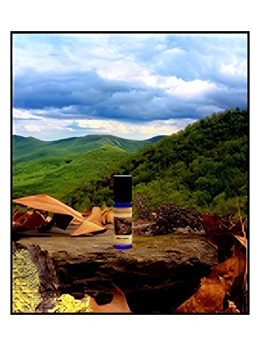 عطر Grey's Cabin زنانه و مردانه Solstice Scents - عطر Solstice Scents