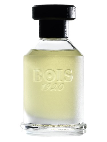 Bois 1920 Rosa 23