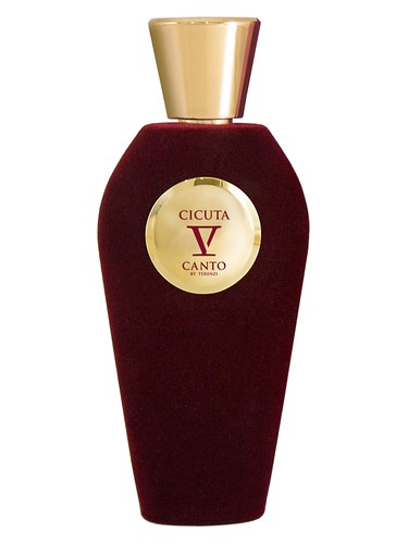 عطر V Canto Cicuta زنانه و مردانه اکستریت د پرفیوم - عطر V Canto