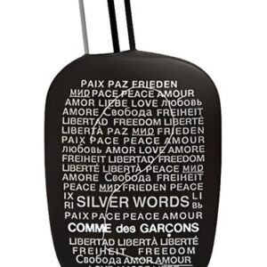 comme des garcons|2 silver words