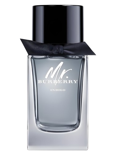 عطر Mr. Burberry Indigo مردانه بربری - عطر بربری