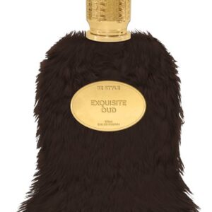 عطر Be Style Perfumes Exquisite Oud مردانه (Be Style Perfumes Exquisite Oud for men) by Be Style Perfumes Perfume