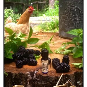 عطر Solstice Scents Blackburn Farmstead (Solstice Scents Blackburn Farmstead) by Solstice Scents Perfume