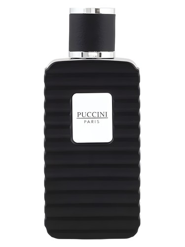 عطر Puccini Men Black مردانه Puccini Paris - عطر Puccini Paris
