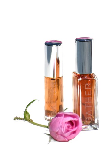 Rainwater Rose Gather