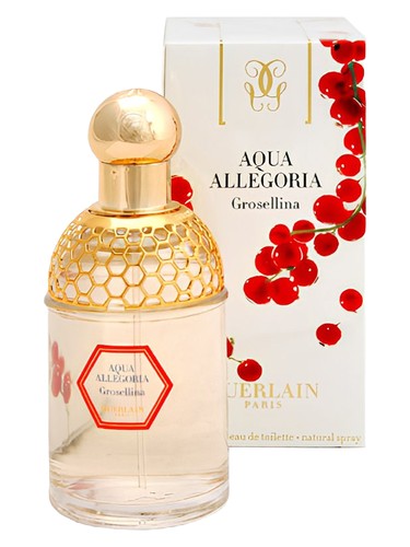عطر Aqua Allegoria Grosellina زنانه Guerlain - عطر Guerlain