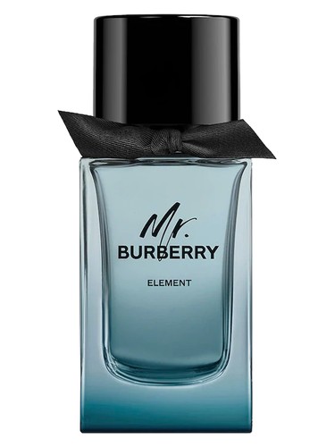 Mr. Burberry Element