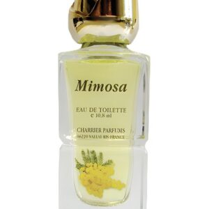 Mimosa