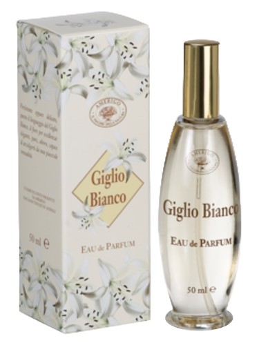 عطر Giglio Bianco زنانه Amerigo - عطر Amerigo