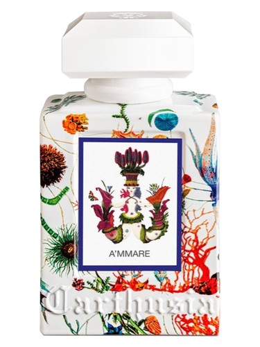 عطر A'mmare زنانه و مردانه Carthusia - عطر Carthusia