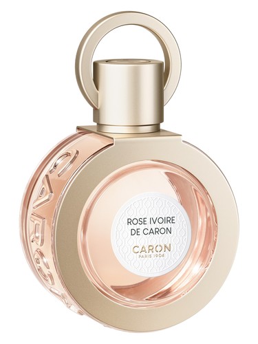 Rose Ivoire De Caron