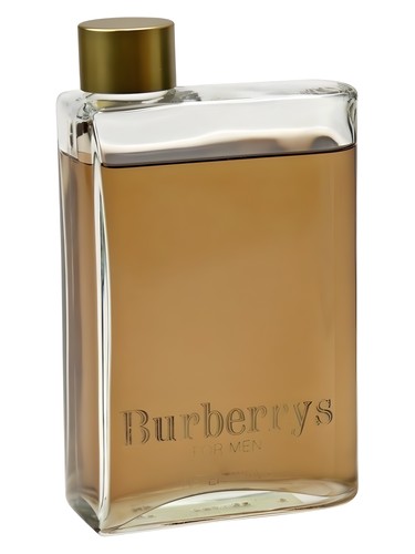 عطر Burberrys مردانه (1981) بربری - عطر بربری