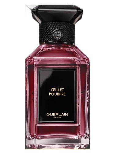 Oeillet Pourpre