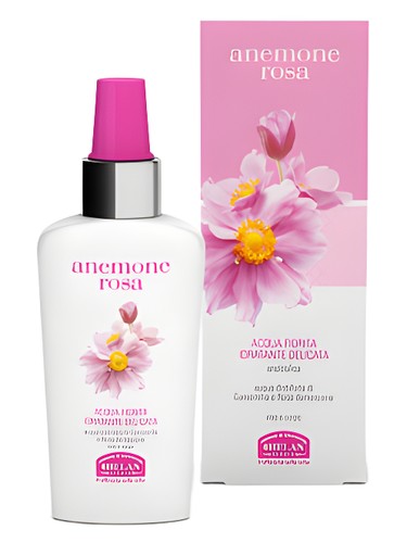 Anemone Rosa for women