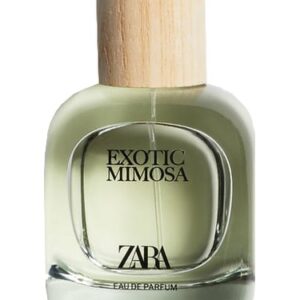 عطر Zara Exotic Mimosa (Zara Exotic Mimosa) by Zara Perfume