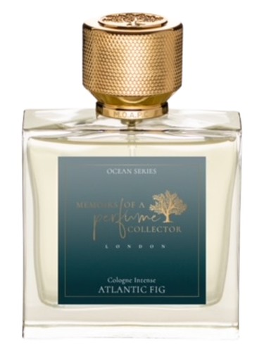 Atlantic Fig Memoirs Of A