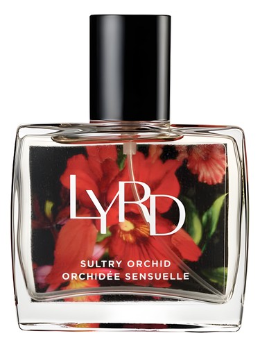 Sultry Orchid