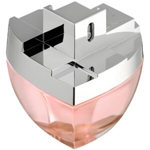 عطر Dkny My Ny (Dkny My Ny) by DKNY Perfume