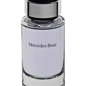 Mercedes Benz The Move