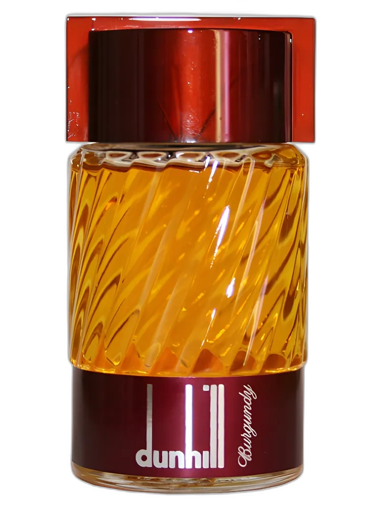 Dunhill Burgundy for men