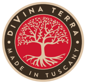 لوگوی برند DiVina Terra