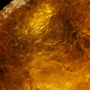 Ambertonic
