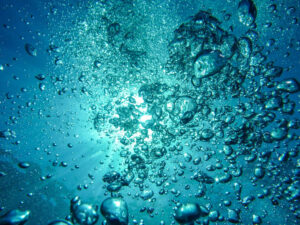 Aquatic Notes