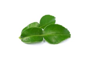 Bergamot Leaf